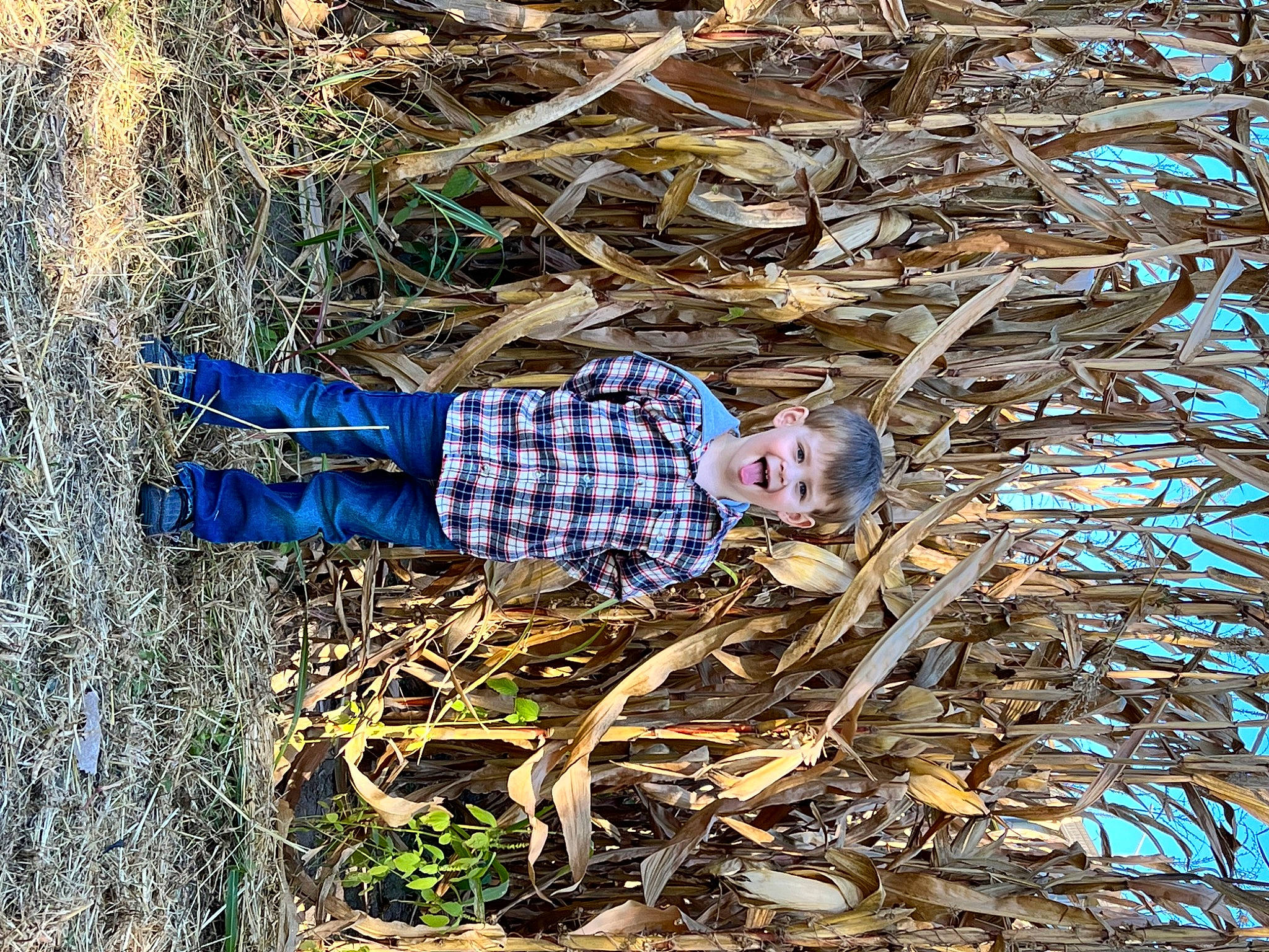 Oliver is registered to the contest to win money with this photo: branch, grass, grass_family, groundcover, landscape, litter, pattern, people_in_nature, person, plant, pollution, soil, toddler, tree, trunk, twig, waste, winter, wood