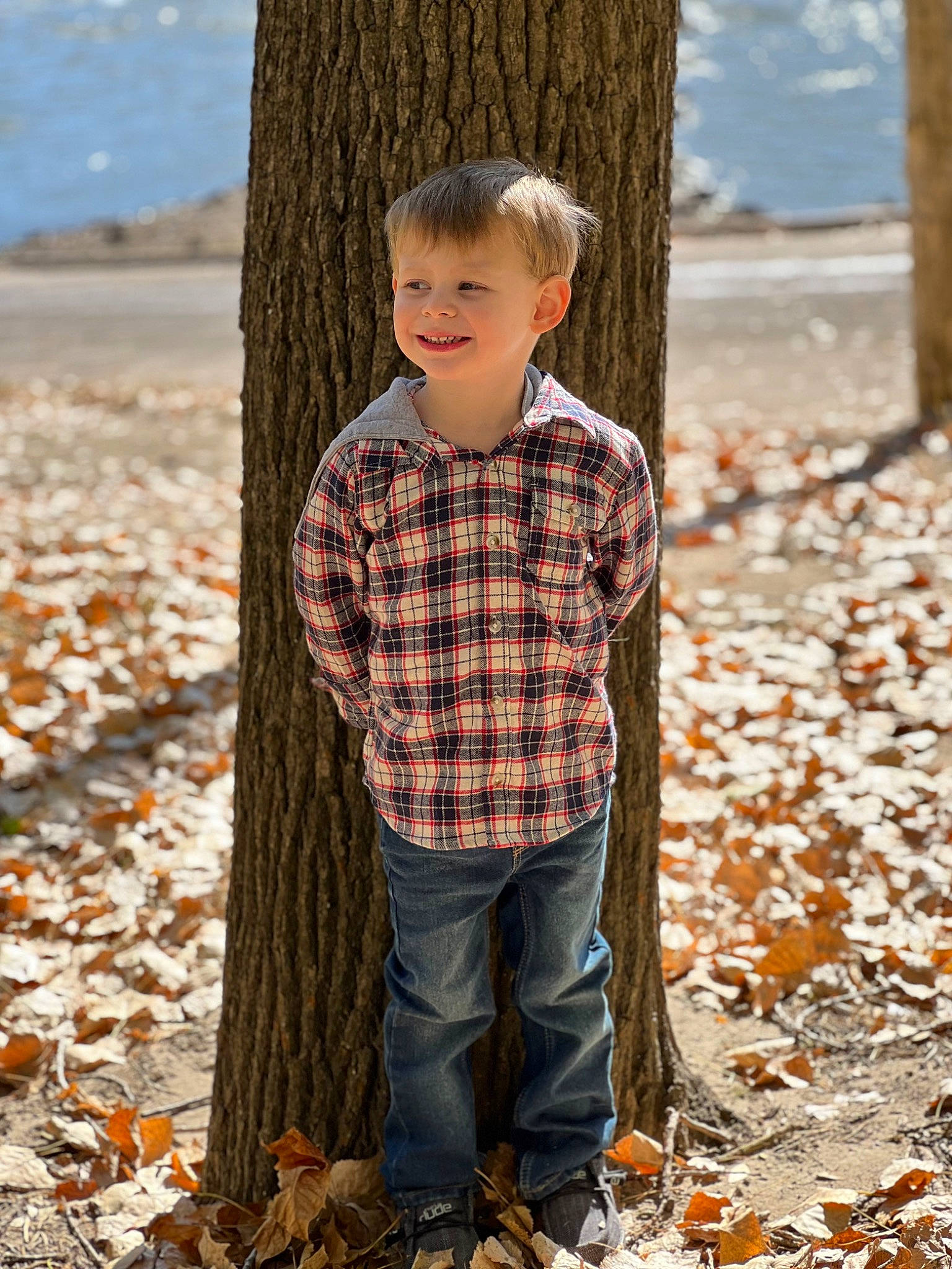 Oliver joined the competition — help win amazing prizes! adaptation, beauty, branch, child, deciduous, happy, joy, leaf, leisure, nature, outerwear, pattern, people_in_nature, person, plaid, standing, tartan, toddler, tree, trunk