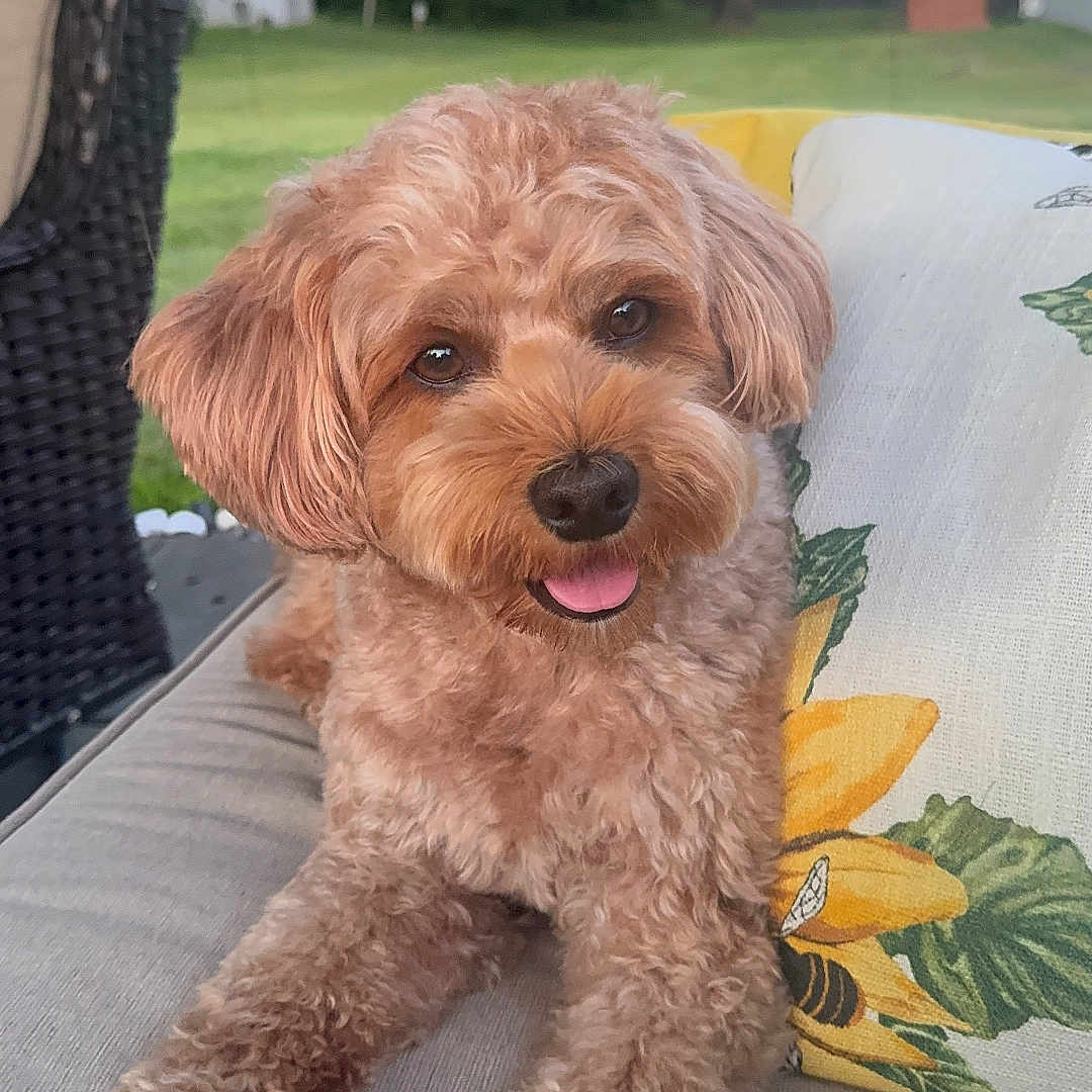 Milo