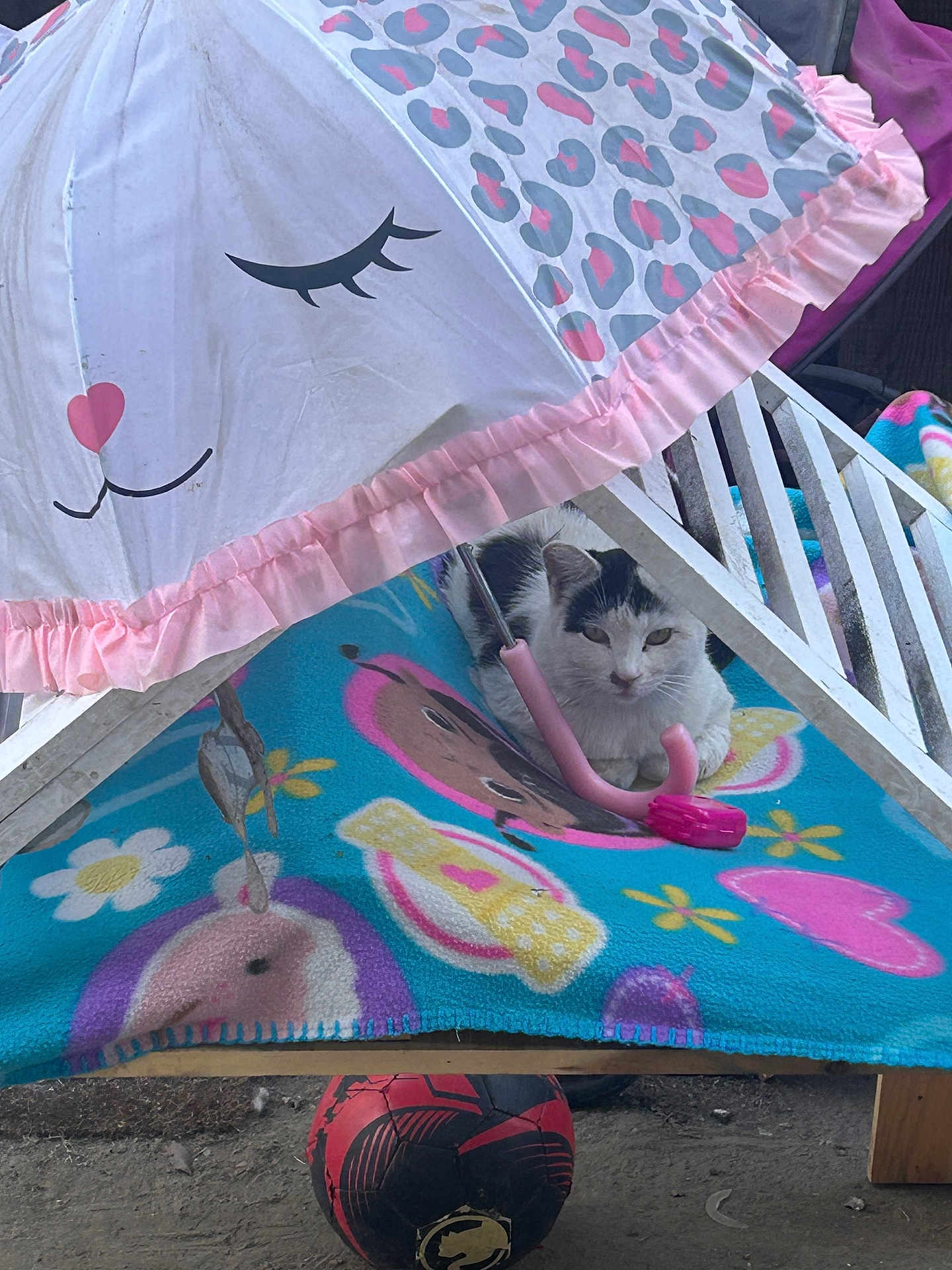 Snowball joined the competition — help win amazing prizes! cat, umbrella, blanket, soccer_ball, wooden_structure, pink, ruffle, heart, flower, pattern, toy, shelter, cozy, outdoor, pet, fabric, playmat, paws, face, fence