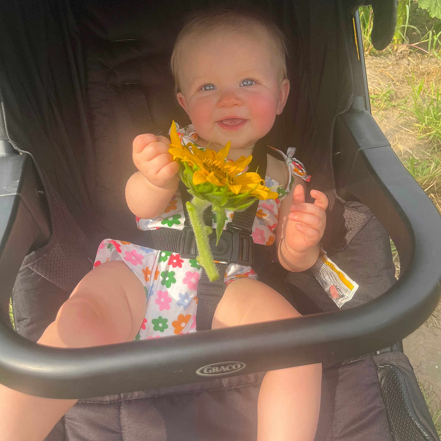 Everly joined the competition — help win amazing prizes! baby, bodypart, cutlery, face, finger, flower, grass, hand, happy, head, outdoors, person, petal, photography, plant, portrait, smile, stroller, summer, sunflower