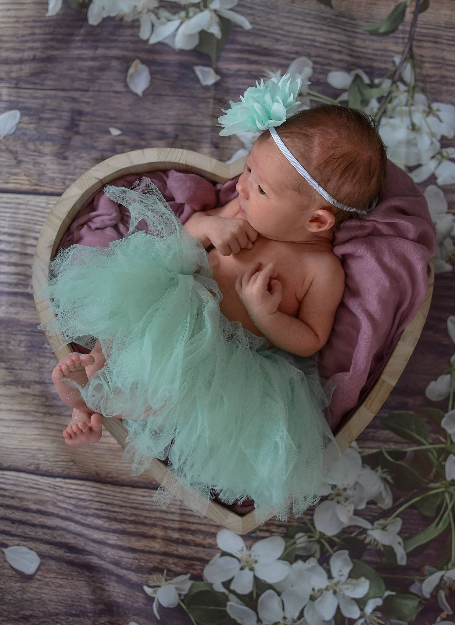 Iliana participe au concours pour gagner de l'argent avec cette photo : baby, baby_products, child, fashion_accessory, fictional_character, fur, hair_accessory, headband, headgear, headpiece, person, photography, pink, product, toddler