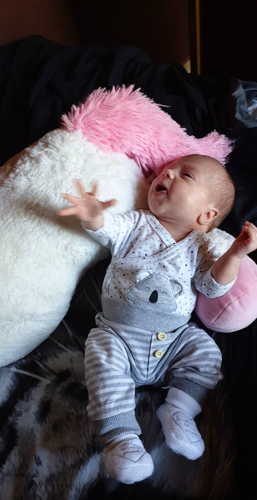 Ehden participe au concours pour gagner de l'argent avec cette photo : baby, cheek, child, ear, fur, nose, person, pink, skin, smile, toddler