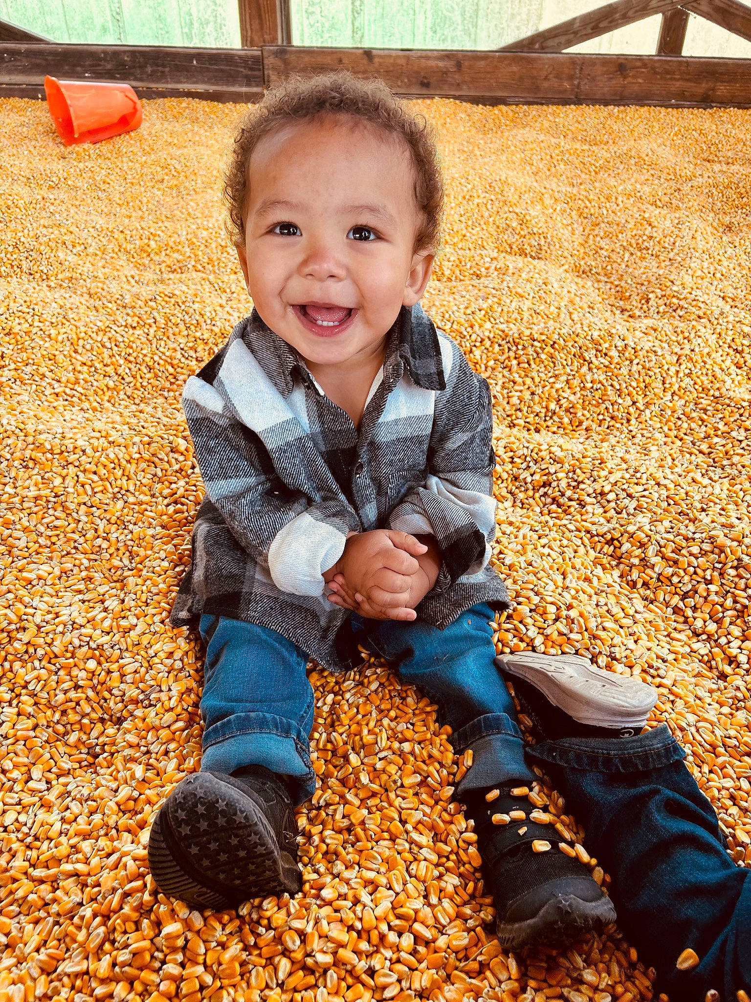 Kingston is registered to the contest to win money with this photo: autumn, baby, baby_toddler_clothing, child, deciduous, flooring, fun, grass, happy, joy, leisure, orange, outerwear, people_in_nature, person, shadow, sitting, smile, soil, toddler