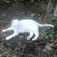 Luciole participe au concours pour gagner de l'argent avec cette photo :