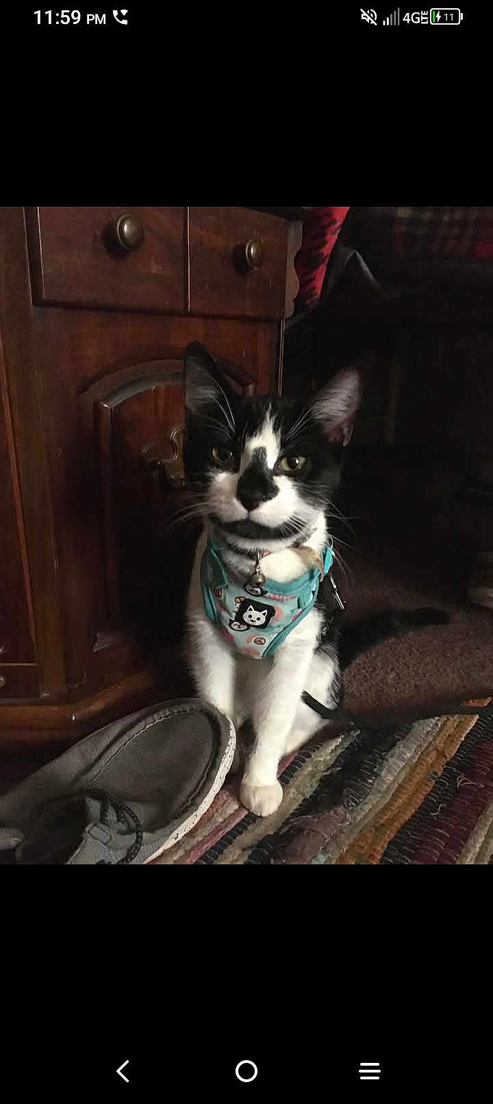 Lulu