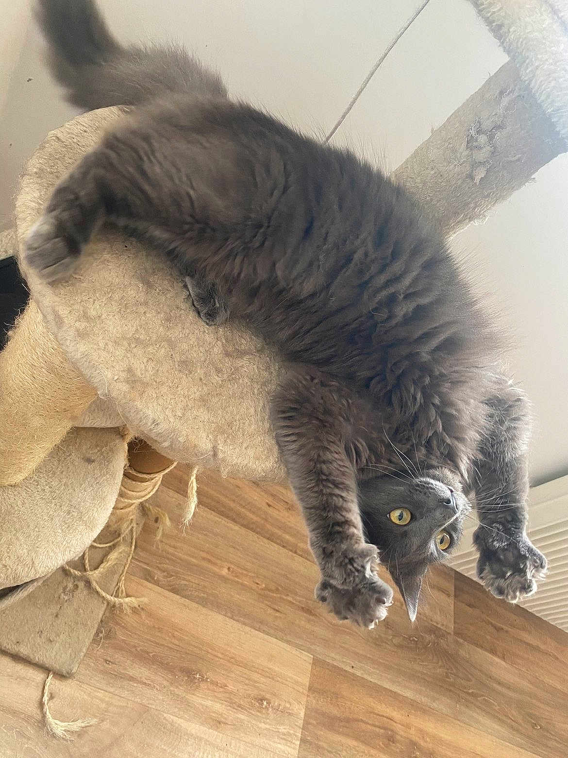 Poussière