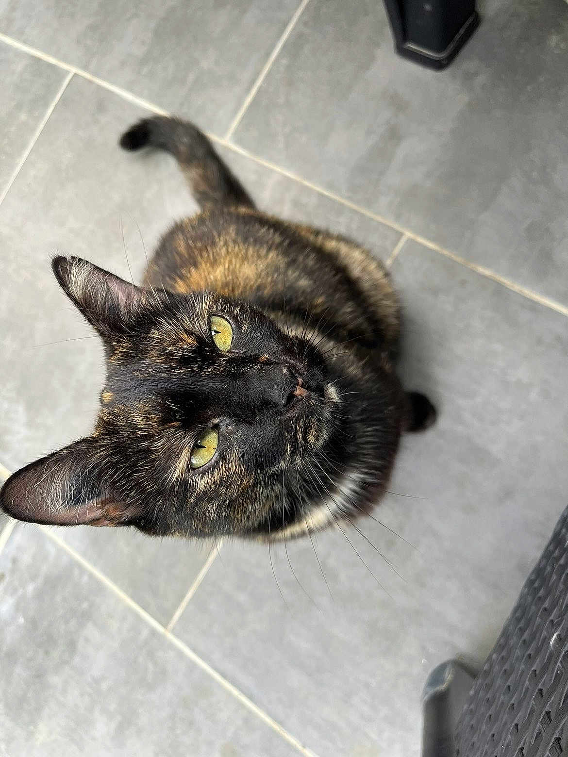 Tina