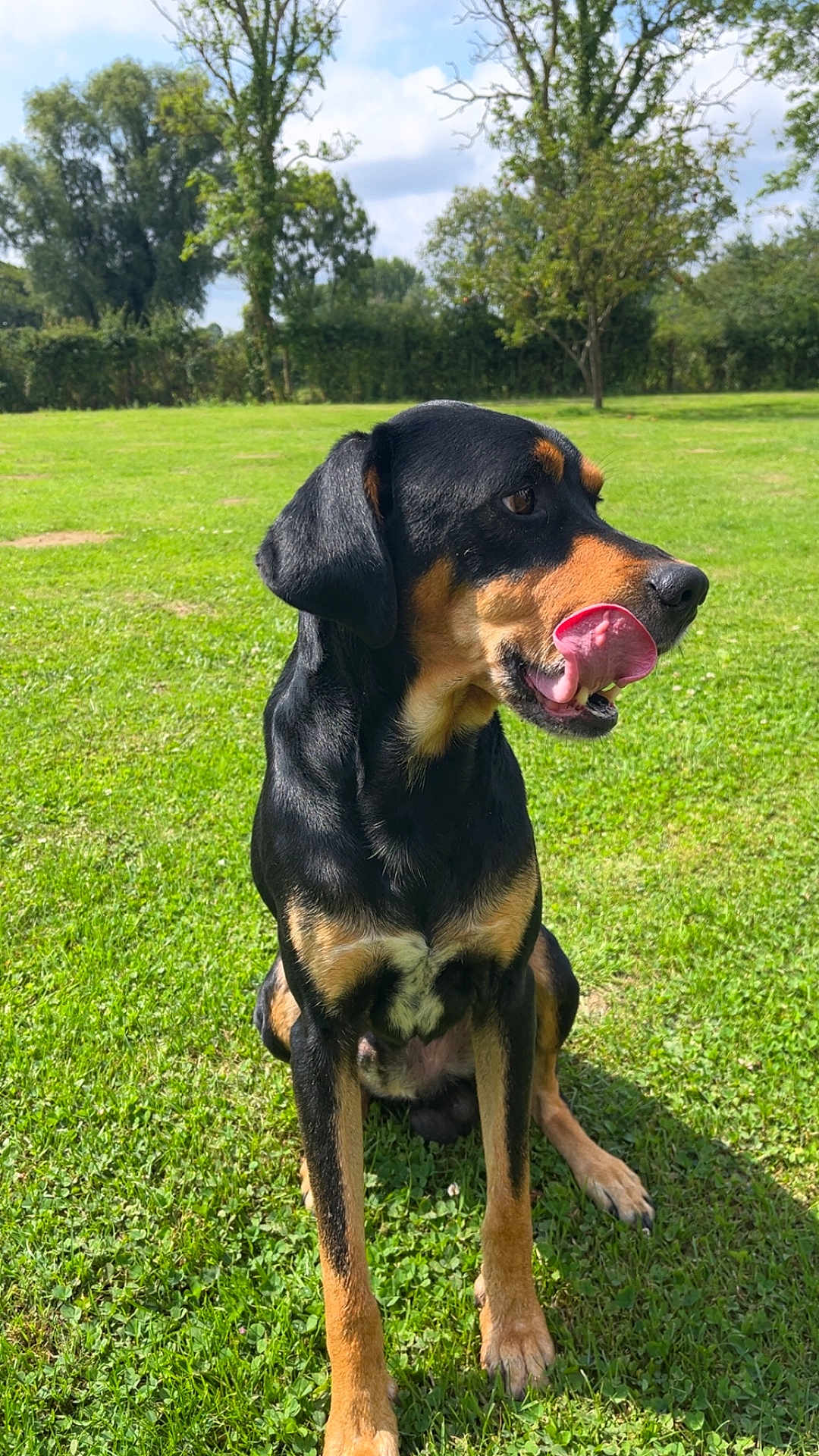 Paco