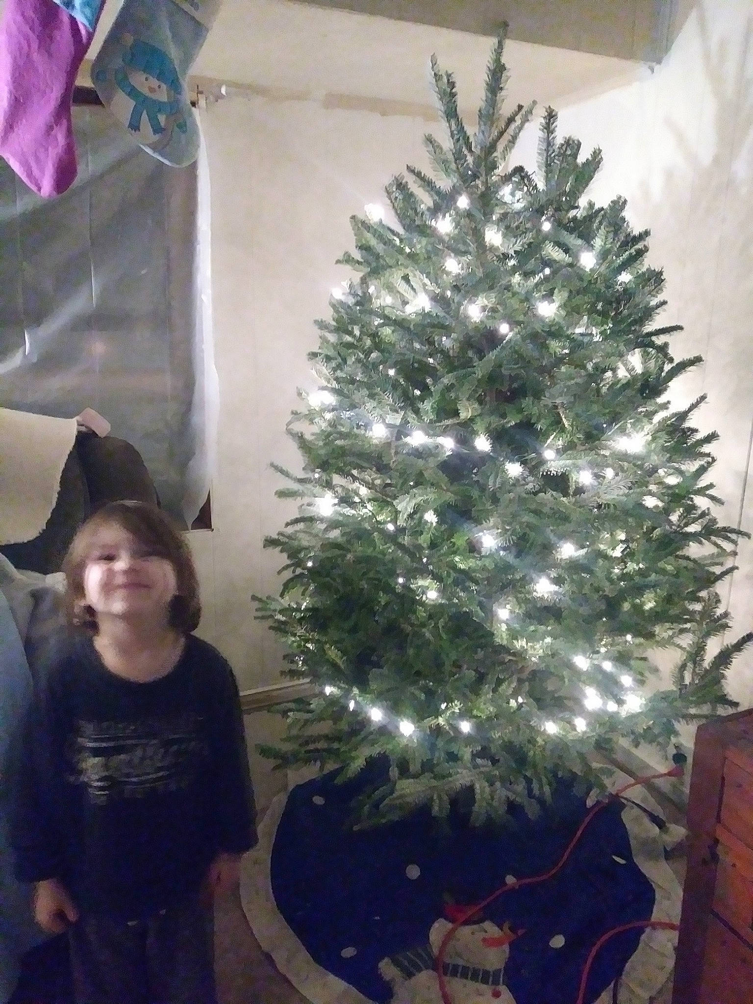 Weston is registered to the contest to win money with this photo: christmas, christmas_decoration, christmas_ornament, christmas_tree, conifer, decor, event, evergreen, fir, holiday, person, pine, pine_family, spruce, tree