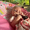 baby, blanket, cabin, camping, child, cozy, face, forest, infant, nature, outdoor, pacifier, photograph, pink, playful, portrait, sitting, stroller, sunlight, trees