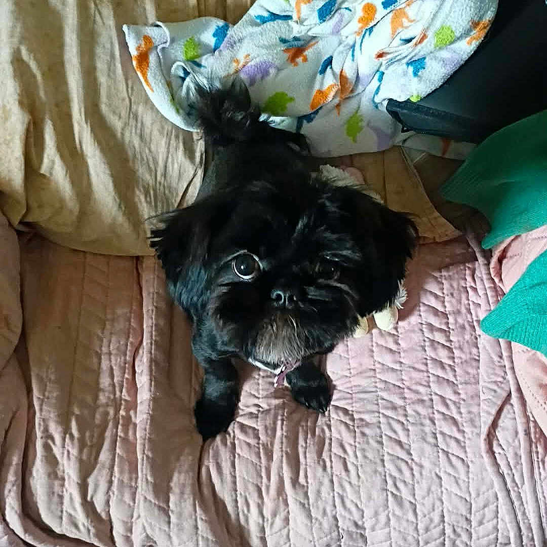 Luna