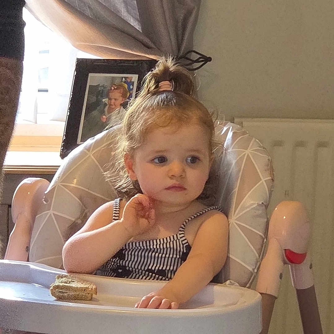 Amelia Grace is registered to the contest to win money with this photo: toddler, child, high_chair, sandwich, indoor, curtains, window, portrait, person, hair_tie, photo_frame, radiator, clothing, furniture, expression, table, seat, skin, face, home