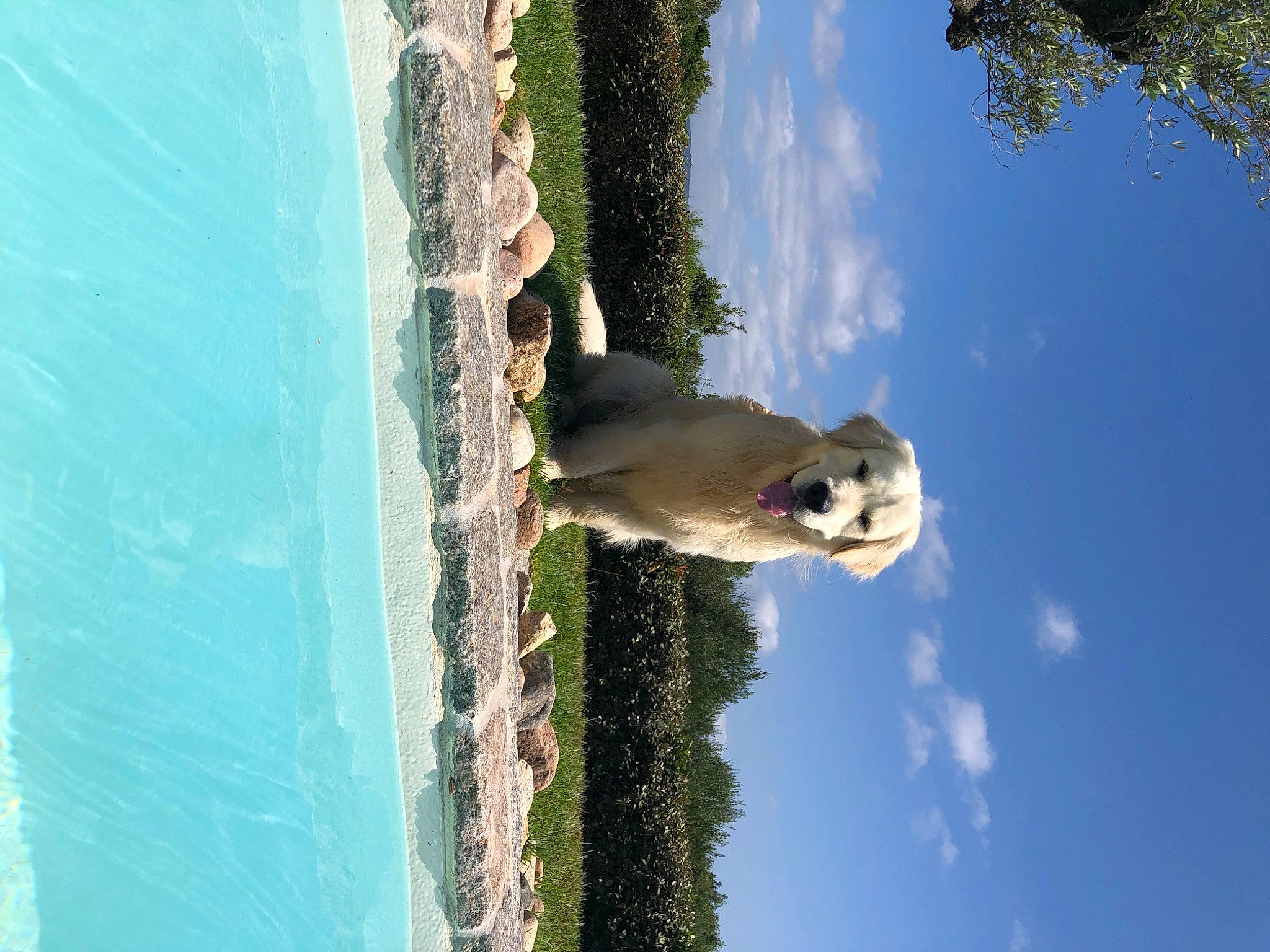 Roch a rejoint le concours — aidez-le/la à gagner de superbes lots ! arecales, azure, beach, cloud, cumulus, house, landscape, line, ocean, palm_tree, plant, reflection, rock, sky, tail, tree, trunk, water, wood