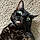 Salem