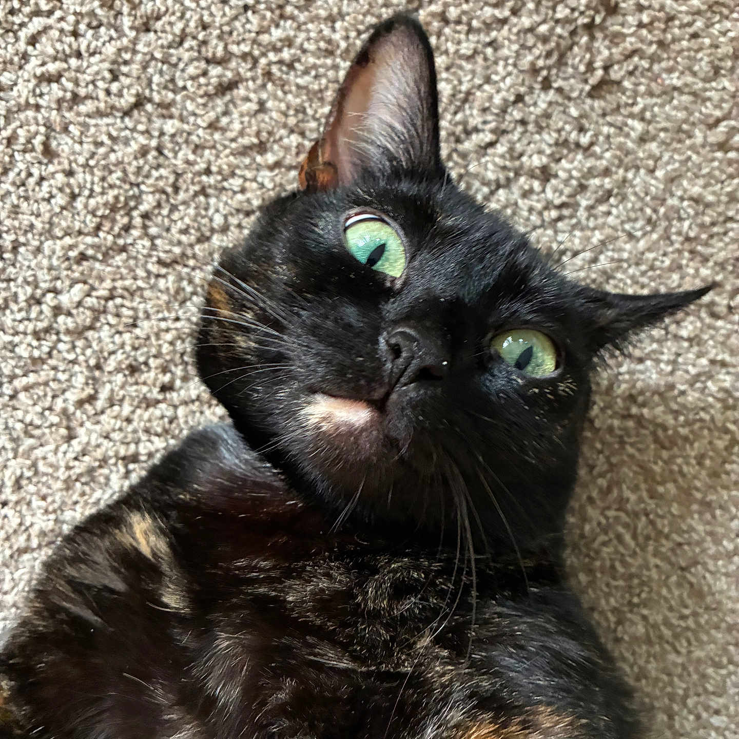 Salem
