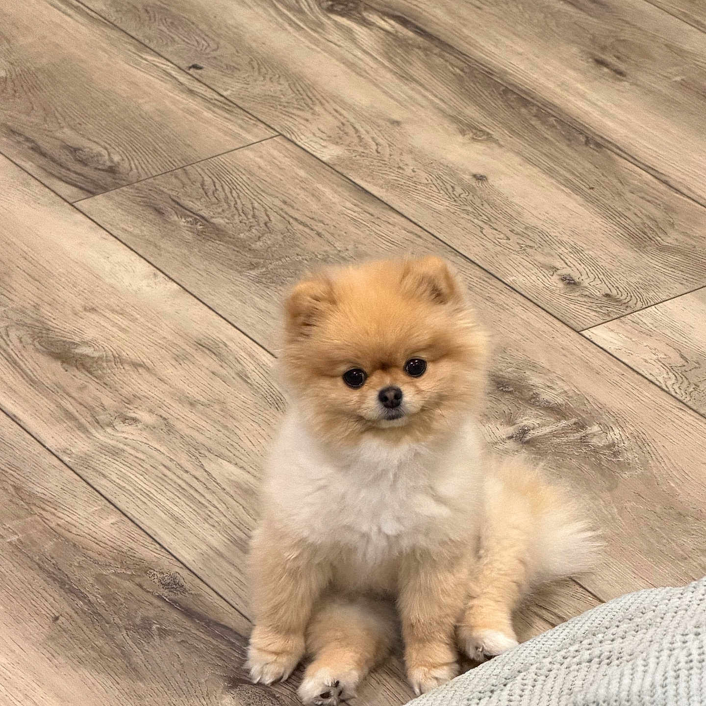 Dulce