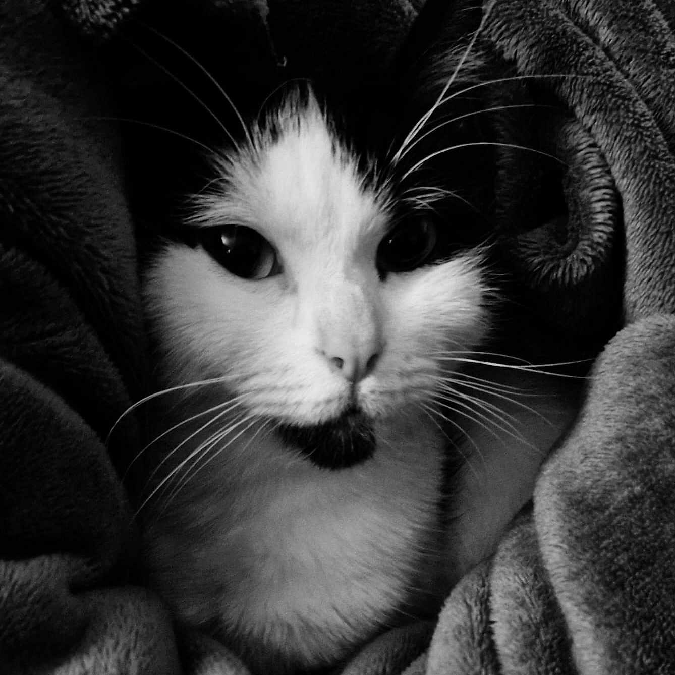 Charlie