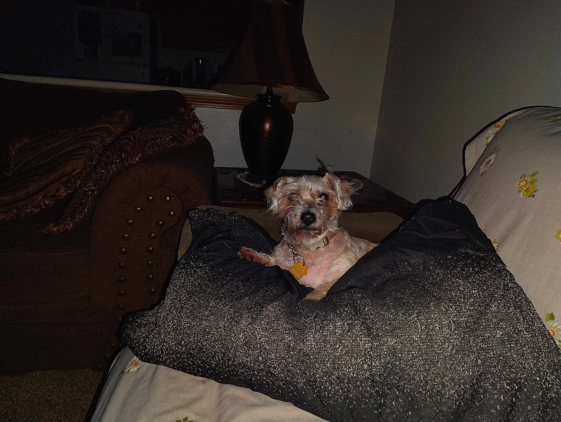 Betty
