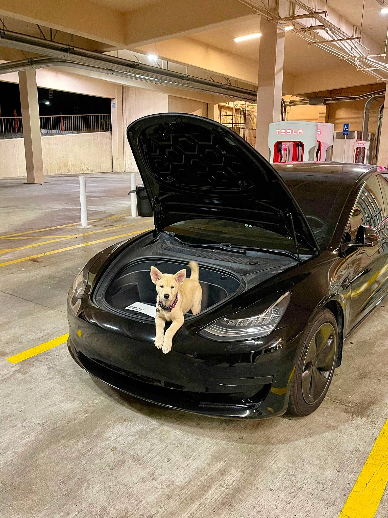 Eloise is registered to the contest to win money with this photo: alloy_wheel, automotive_design, automotive_exterior, automotive_lighting, automotive_tire, bumper, car, fender, grey, grille, headlamp, hood, motor_vehicle, personal_luxury_car, rim, rolling, tire, vehicle, vehicle_door, wheel