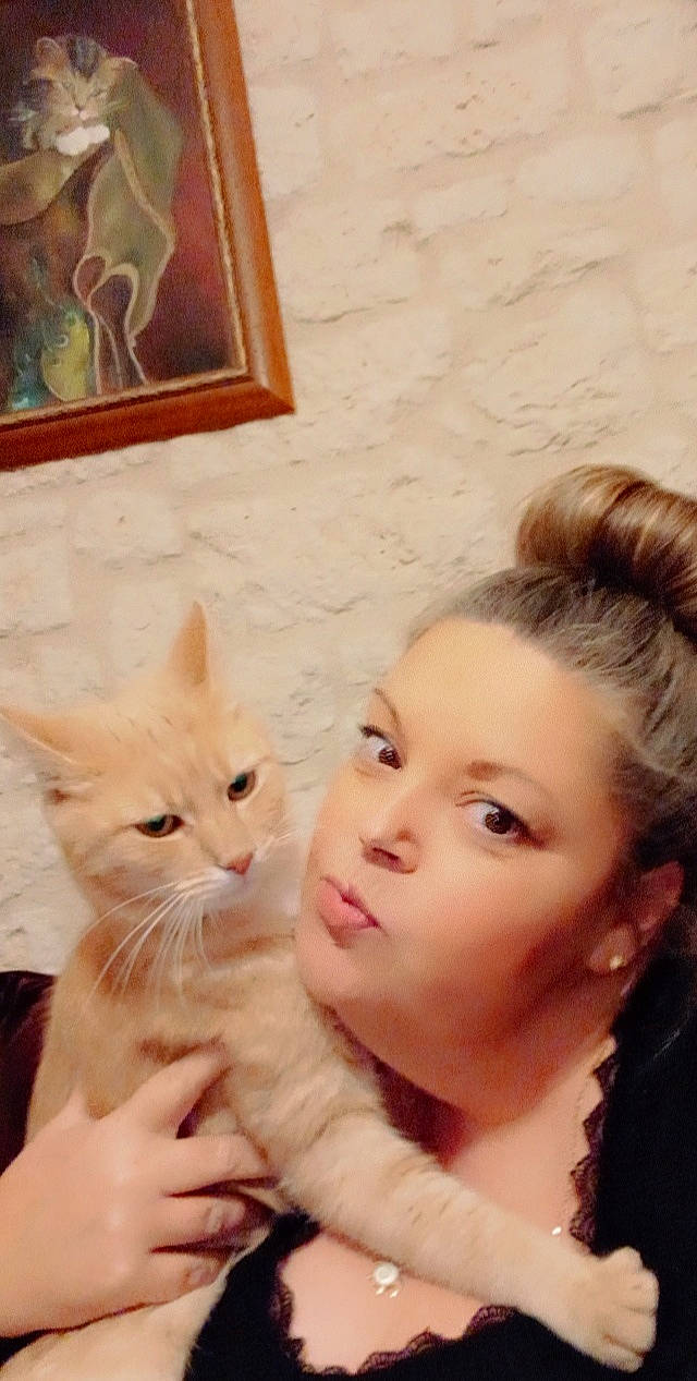 Roméo a rejoint le concours — aidez-le/la à gagner de superbes lots ! blond, carnivore, cat, domestic_short_haired_cat, ear, eyelash, fawn, felidae, fur, gesture, happy, iris, long_hair, photograph, picture_frame, small_to_medium_sized_cats, tail, whiskers, window, wood