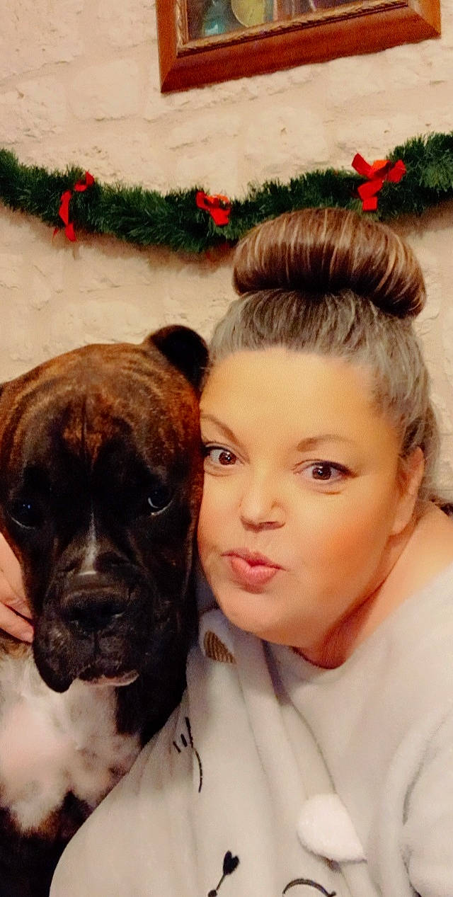 Sanka a rejoint le concours — aidez-le/la à gagner de superbes lots ! art, boxer, canidae, carnivore, companion_dog, dog, dog_breed, eyelash, fashion_accessory, fawn, fur, giant_dog_breed, makeover, molosser, plant, snout, sporting_group, whiskers, working_animal, wrinkle