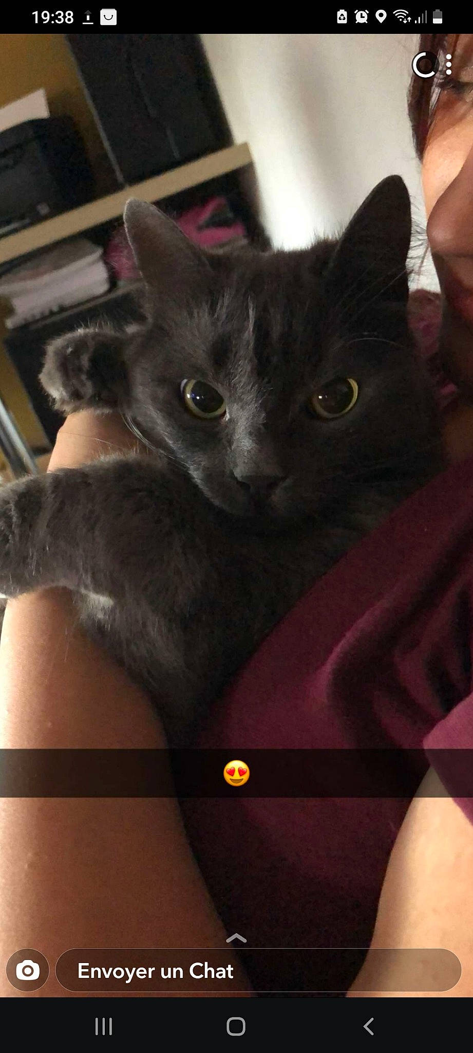 Bouli a rejoint le concours — aidez-le/la à gagner de superbes lots ! black_cat, carnivore, cat, claw, comfort, domestic_short_haired_cat, ear, felidae, fur, paw, photo_caption, small_to_medium_sized_cats, snout, tail, vertebrate, whiskers