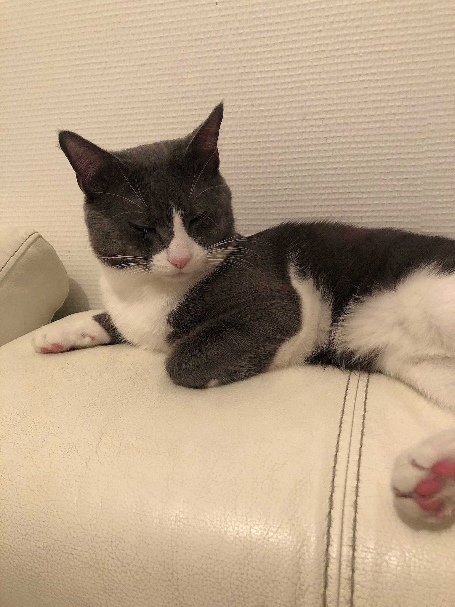 Oreo