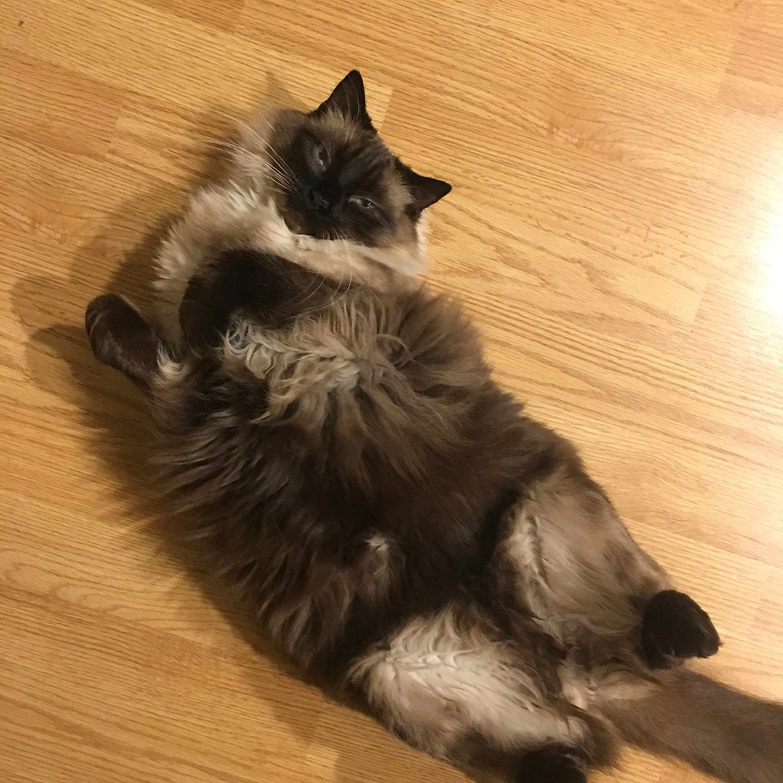 Oona