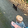 toddler, child, adult, hand, tattoo, black_cat, cat, walking, path, leaves, outdoor, nature, asphalt, forest, exploration, companionship, clothing, blue_shirt, blond_hair, casual