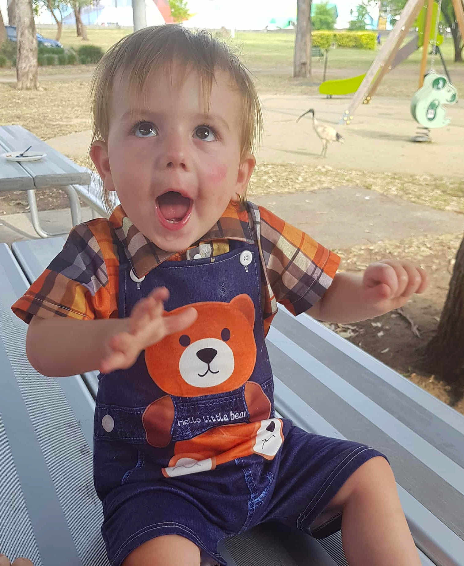 Bellamy is registered to the contest to win money with this photo: toddler, child, smiling, outdoor, park, playground, bench, clothing, bear, denim, plaid_shirt, happy, person, face, cute, nature, bird, tree, summer, daytime