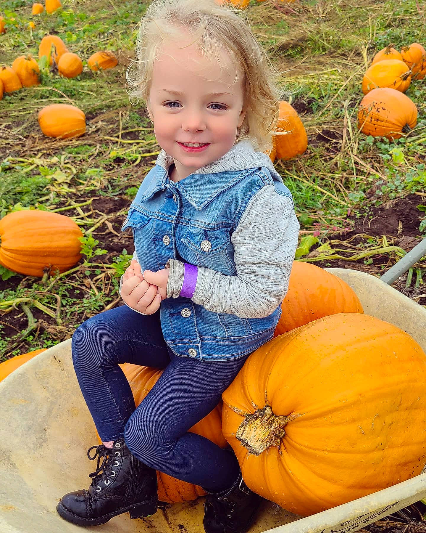 Ryleigh joined the competition — help win amazing prizes! botany, calabaza, clothing, cucurbita, eye, face, facial_expression, green, hair, head, human_body, jeans, joy, leaf, leg, orange, person, photograph, plant, pumpkin