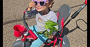 Adaline joined the competition — help win amazing prizes! child, tricycle, sunglasses, heart_shaped, outdoor, sunny, leafy_branch, smiling, casual_clothing, grass, tree_trunk, pavement, toy_vehicle, footwear, playful, young_kid, daylight, happy, person, recreational