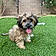 Murphy