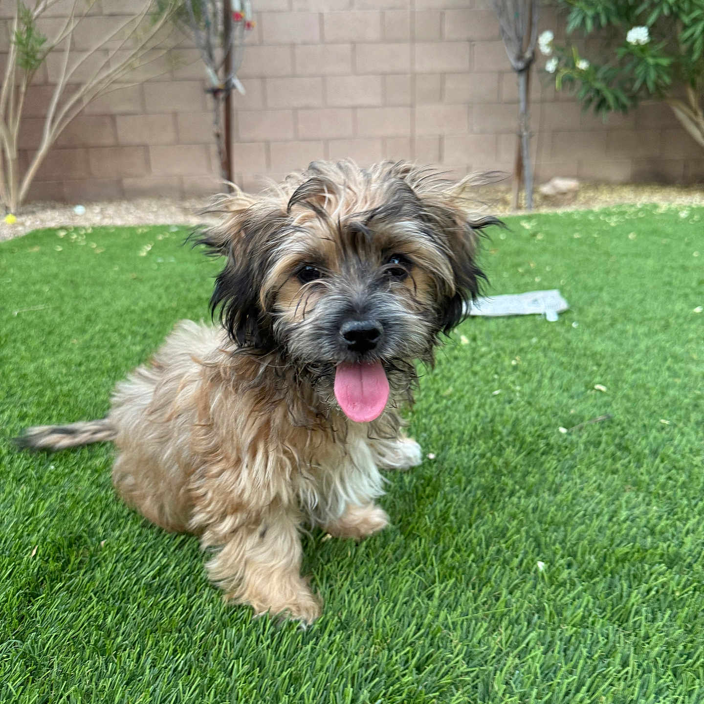 Murphy