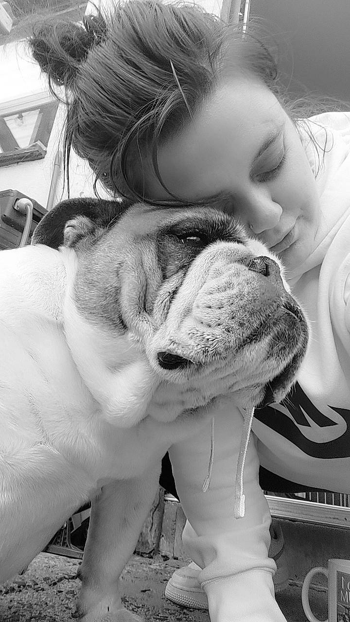 Bella is registered to the contest to win money with this photo: black, black_and_white, carnivore, comfort, companion_dog, dog_breed, fawn, gesture, grass, happy, monochrome, monochrome_photography, nose, photograph, smile, snapshot, snout, style, white, working_animal