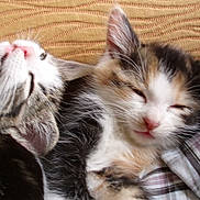 Naima a rejoint le concours — aidez-le/la à gagner de superbes lots !