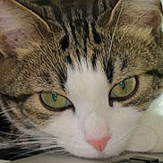 Aisha participe au concours pour gagner de l'argent avec cette photo :