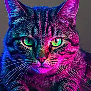 Dusty joined the competition — help win amazing prizes! cat, tabby_cat, close_up, neon_lighting, green_eyes, pink_light, blue_light, portrait, animal, pet, feline, whiskers, paws, fur, colorful, glowing, intense_gaze, indoor, dark_background, vibrant