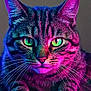 cat, tabby_cat, close_up, neon_lighting, green_eyes, pink_light, blue_light, portrait, animal, pet, feline, whiskers, paws, fur, colorful, glowing, intense_gaze, indoor, dark_background, vibrant