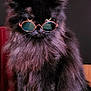 cat, black_cat, fluffy, sunglasses, pet, animal, cute, feline, portrait, indoor, fur, whiskers, sitting, attitude, dark_background, round_glasses, close_up, cute_pet, domestic_cat, stylish