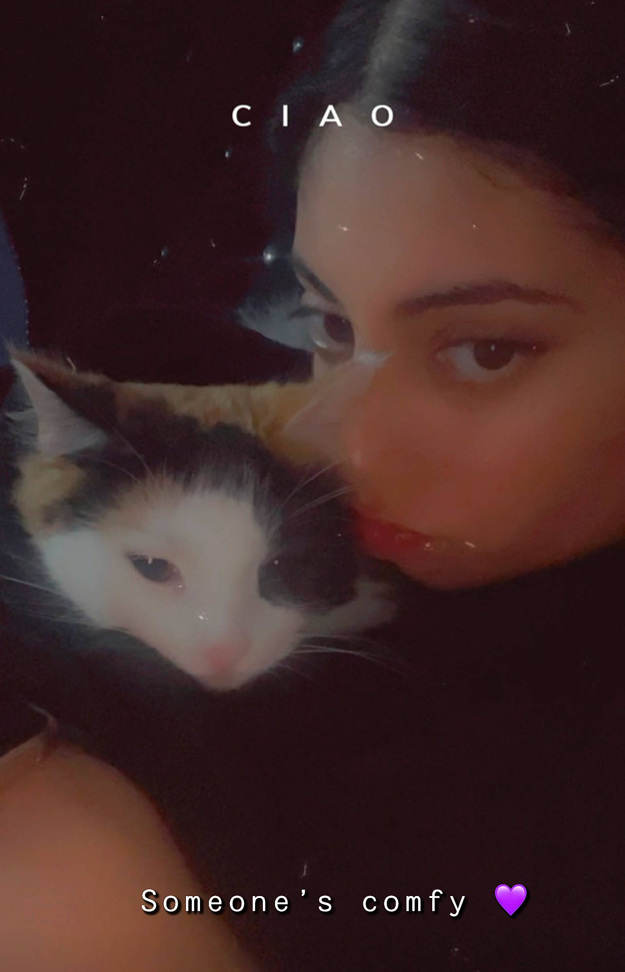 Coco joined the competition — help win amazing prizes! art, carnivore, cat, darkness, domestic_short_haired_cat, eyebrow, eyelash, felidae, flash_photography, fur, happy, iris, midnight, nose, sky, small_to_medium_sized_cats, snout, space, tail, whiskers