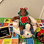alphabet_mat, baby, blackberries, blue_socks, celebration, child, colorful_mat, cute, fruit_cake, grapes, happy, indoor, infant, inflatable_chair, portrait, sign, strawberries, sunglasses, text_board, watermelon_outfit