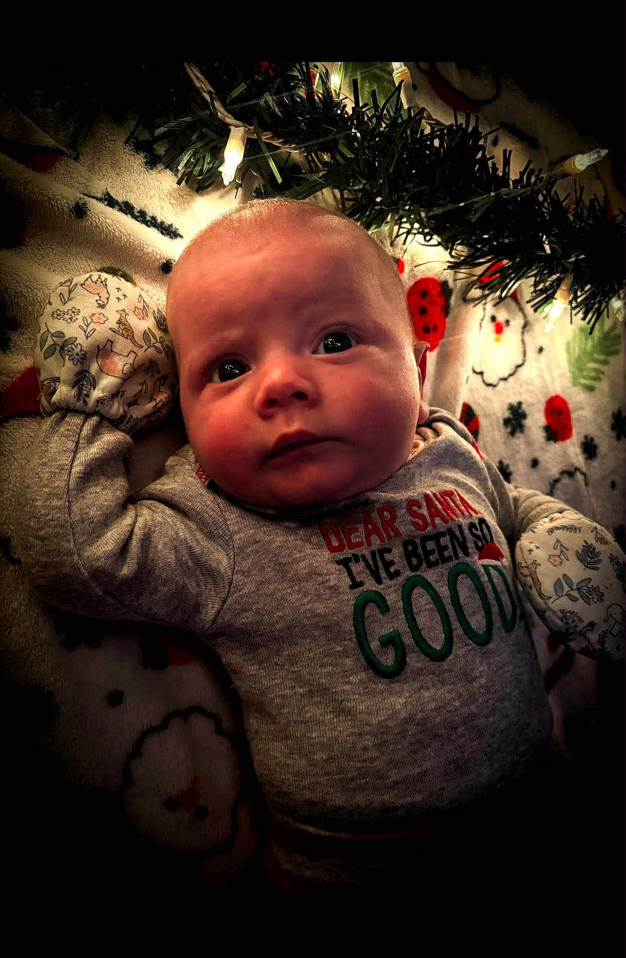 Riley joined the competition — help win amazing prizes! baby, infant, mittens, holiday, christmas, blanket, lights, greenery, clothing, face, portrait, cute, indoors, festive, expression, lying_down, warm_lighting, soft_texture, red, gray