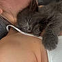 kitten, sleeping, gray_fur, paw, person, shoulder, earring, skin, white_strap, close_up, cuddle, fur, rest, nap, cozy, soft, cute, indoor, pet, animal