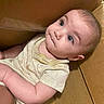 baby, child, cardboard_box, onesie, infant, cute, curious, indoors, portrait, skin, face, expression, sitting, small, young, human, comfort, light, shadow, box