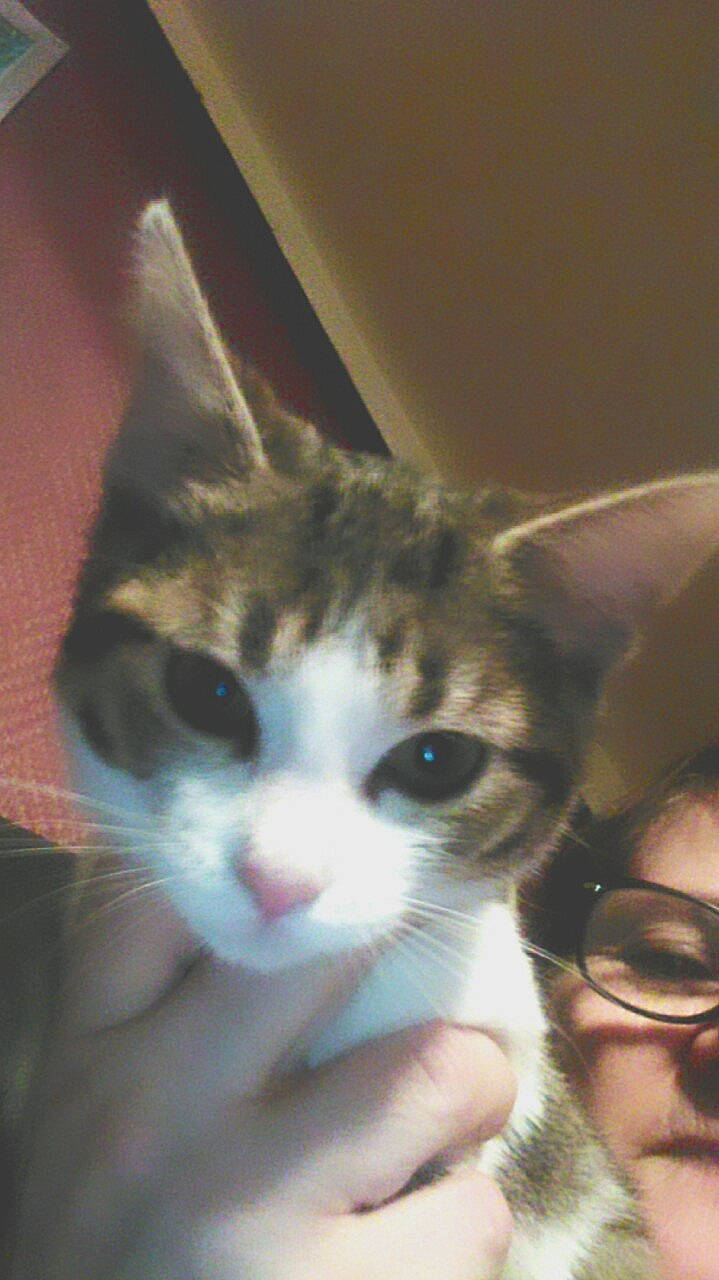 Princesse