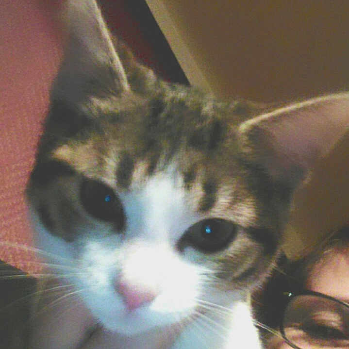 Princesse