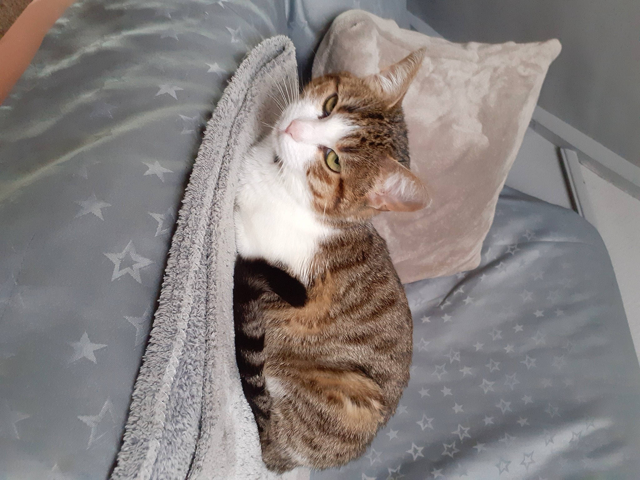 Princesse