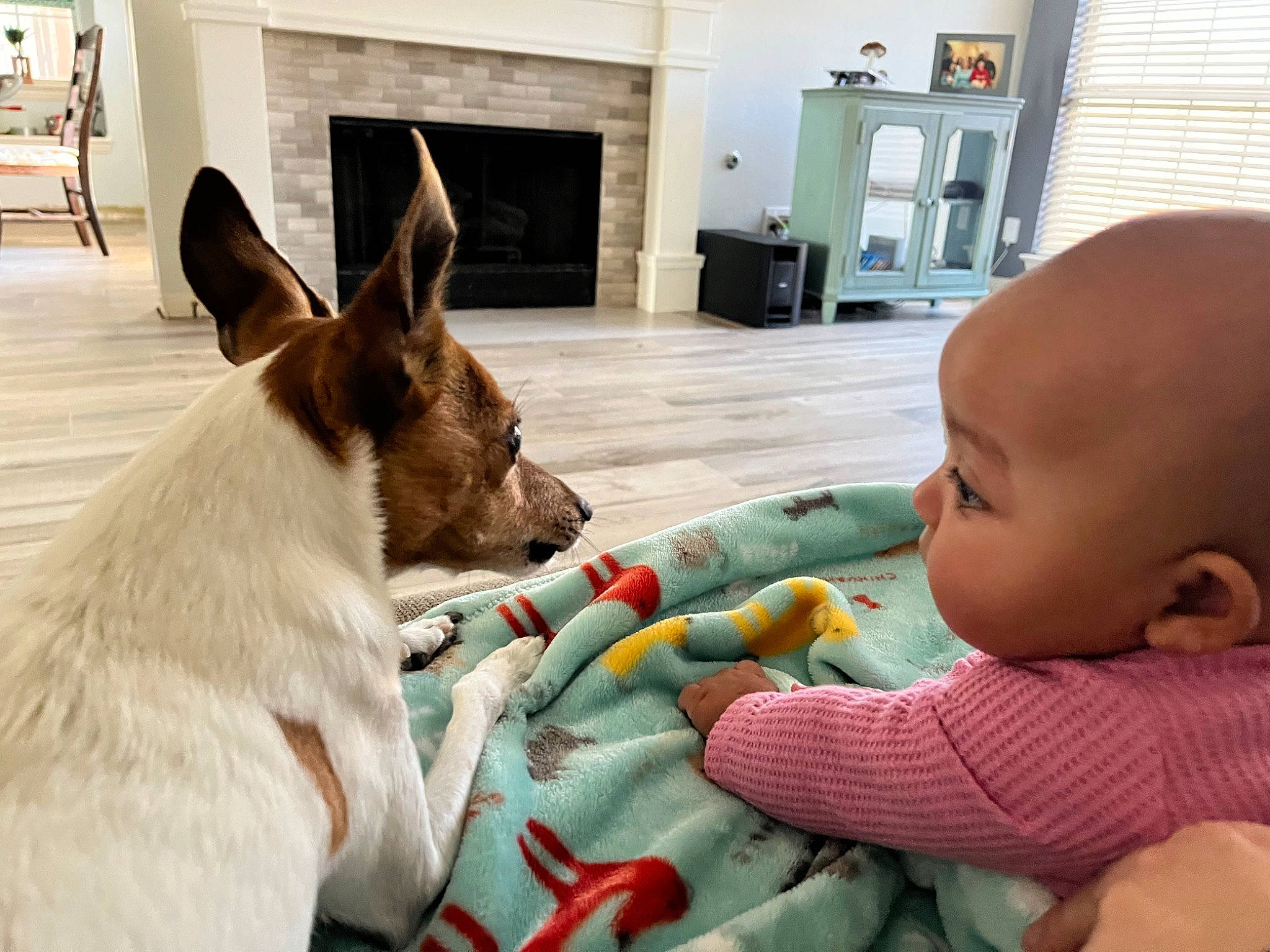 Tynliegh is registered to the contest to win money with this photo: baby, companion_dog, dog, dog_breed, ear, fawn, flooring, fun, fur, gesture, happy, human_body, mouth, nose, organ, person, picture_frame, sitting, toddler, toy